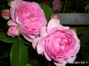 Bouquet_rose02.JPG