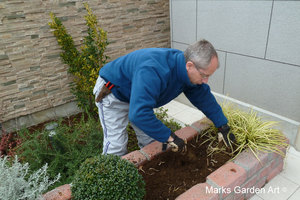 Making-planter2012March_02.JPG