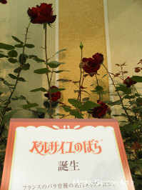 Rosa-Versailles_SeibuDome2012_01.JPG