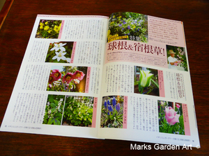 Plants&Garden_2015_Autumn_No.166_201508_02.jpg